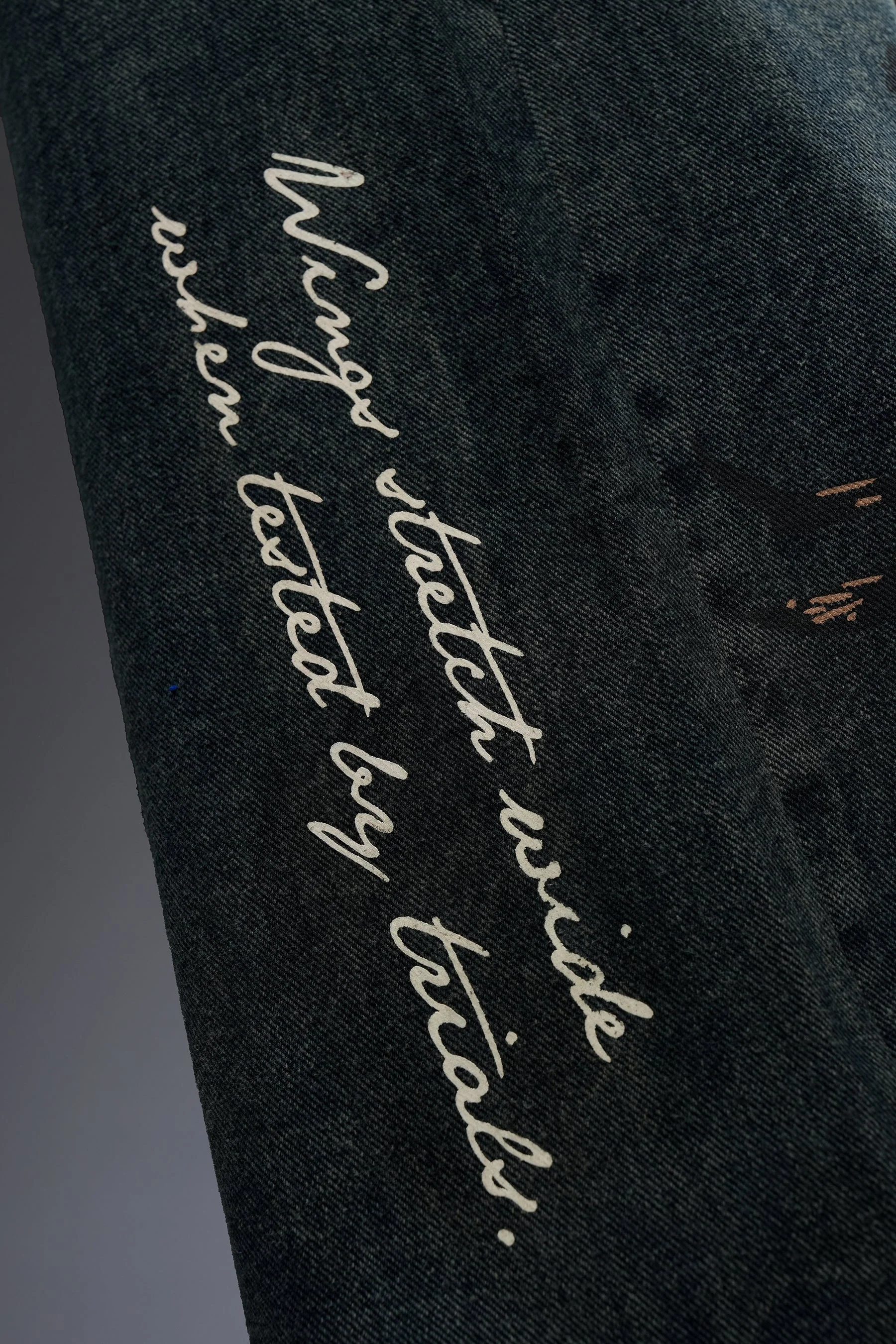 Raptor 22 Denim - Image 9